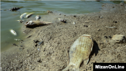 ولایت مازندران ایران یکی از مناطق خشکسالی زده در آن کشور است