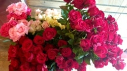 Sebagian bunga mawar asal Desa Bulukerto, Kecamatan Bumiaji, Kota Batu, yang masih dapat dijual. (Foto: VOA/Petrus)