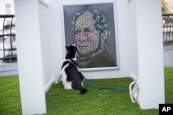 Oops, an intruder: Bug, a domestic shorthair cat, inspects Noah Scalin's "The Hand That Feeds" at dOGUMENTA (I) NYC, Aug. 11, 2017, in New York. The art show, featuring 10 sculptures and installations created specifically for dogs, will be on display at Brookfield Place in Lower Manhattan through Aug. 13.