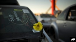 Artificial flower adorns junk car at Aadlen Brothers Auto Wrecking, also known as U Pick Parts, Sun Valley section of Los Angeles, Nov. 11, 2015.