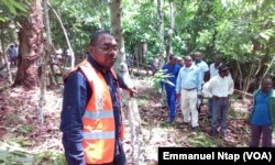 Dr Narcisse Olinga, sous-directeur des échanges extérieurs au ministère du commerce au Cameroun, le 25 mai 2017. (VOA/Emmanuel Ntap)