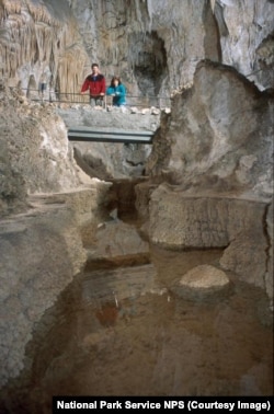 Cave pools can be found throughout the Big Room trail, but none are as large or deep as Longfellow's Bathtub