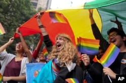 FILE - Participants displays a rainbow flag and cheer as gay rights activists and their supporters march during a gay pride parade in New Delhi, India, Nov. 12, 2017.