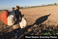 O'zbekiston dalalarida (2016)