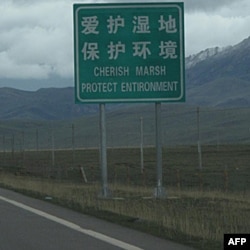 保护湿地的标语