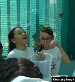 Participants of the Seeds of Success program - which gives middle school girls the opportunity to learn about careers in science, technology, engineering and math (STEM) - created a butterfly garden at their school as part of a community and leadership pr