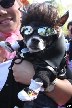 Halloween in New York City