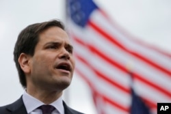 Sen. Marco Rubio, R-Fla, speaks at a rally, Feb. 21, 2016, in Franklin, Tenn.