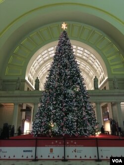 American and Norwegian flags decorate the Christmas tree presented to the city of Washington by the Norwegian Embassy in 2017. (N. Liu/VOA)