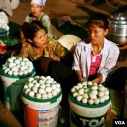 Pedagang telur ayam di Tiongkok (foto:dok). Baru-baru ini, kasus baru flu burung yang disebabkan varian baru H5N1 dilaporkan di negara ini.