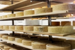 Wisconsin is known for its cheese. Here, it ages on wood at LaClare Farms near Pipe, Wisconsin, July 22, 2016.