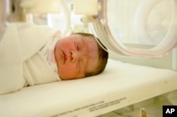 Brain development could be impacted in babies whose mothers ate poorly during pregnancy.