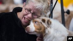 Kholoe, seekor anjing jenis Australian Shepherd, bersama perawatnya, Maureen Grentus dalam sebuah kompetisi anjing di New York. (AP/John Minchillo)