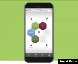 Tampilan aplikasi Treem di iPhone.
