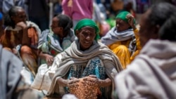FILE - An Ethiopian woman scoops up grains of wheat after it was distributed by the Relief Society of Tigray in the town of Agula, in the Tigray region of northern Ethiopia, May 8, 2021.