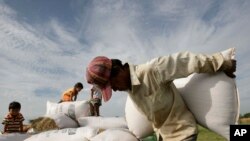 A man carries a sack of rices to dry them under sunlight at a rice farm during the harvest at Kork Banteay village, Kandal province, some 30 kilometers (18 miles) east of Phnom Penh, Cambodia,