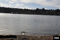 Behind the campus center at teh University of Washington, Seattle, by cleverdame107