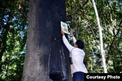 Leng Ouch is a longtime environmental activist who was named as one of the winners for the 2016 Goldman Environmental Prize. He and his team have been investigating and documenting illegal logging across Cambodia over the past 20 years. (Courtesy Photo of GEP)