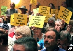 FILE - People hold signs in support of the Mexican gray wolf during a meeting of the New Mexico Game Commission in Albuquerque, New Mexico, Sept. 29, 2015.