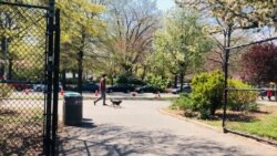 McCarren Park in Brooklyn. (Photo by Janine Phakdeetham)