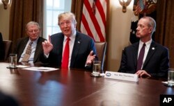 FILE - President Donald Trump speaks during a meeting with Republican members of Congress on immigration in the Cabinet Room of the White House, June 20, 2018, in Washington.