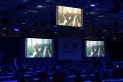 A climate change video plays during the opening session of the COP26 U.N. Climate Summit, Nov. 1, 2021, in Glasgow, Scotland.