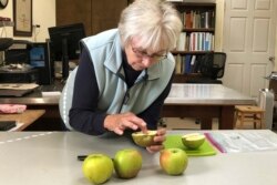 In this Oct. 30, 2019, photo, Joanie Cooper, of the Temperate Orchard Conservancy, examines a rare apple in her lab in Molalla, Oregon. Cooper and her colleagues have helped identify many of the 13 "lost" apple varieties that have been rediscovered in recent years by the Lost Apple Project in eastern Washington and northern Idaho. (AP Photo/Gillian Flaccus)
