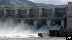 In this April 11, 2018 photo, water moves through a spillway of the Lower Granite Dam on the Snake River near Almota, Washington.