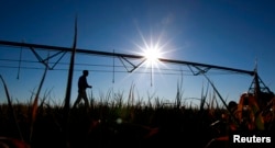 FILE - Farmer Ian Shippen walks past a mobile irrigation boom on a dying oat crop on his farm in the heart of Australia's Murray-Darling river basin outside Moulamein, about 600km (373miles) west of Canberra, Aug. 24, 2007.