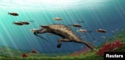 Life restoration of Atopodentatus (the "hammerhead") is shown in this image released May 6, 2016. (Courtesy: Y. Chen/IVPP)