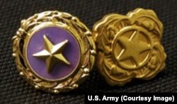 Gold Star lapel button