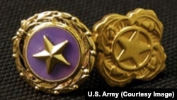 Gold Star lapel button