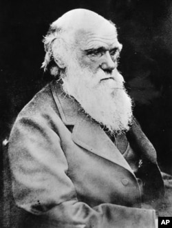 Portrait of British scientist Charles Robert Darwin, founder of the theory for the evolution of life. Born Feb. 12, 1809, and died April 19, 1882. Photo was made shortly before his death.