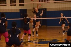 Megan Majocha playing volleyball.