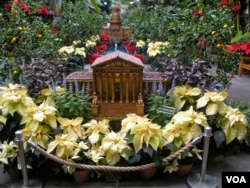 The US Botanic Garden's replicas of the US Supreme Court (front) and the US Capitol. Both representations are made from natural materials such as pine cones, willow and grapevines. (J. Taboh/VOA)