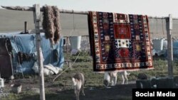 Rewoven-ისა და ხალიჩების ბიზნესი მომავალი გაურკვეველია