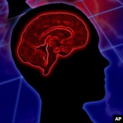 A new study helps explain why blind people seem to have advanced perception of sound and touch.