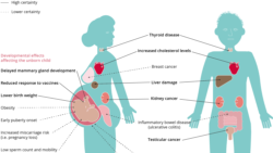 ფოტო: ევროპის გარემოს დაცვის სააგენტო (EEA)