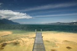 FILE - An accumulation of pollen is pictured on Lake Leman in Villeneuve, Switzerland May 10, 2020. (REUTERS/Denis Balibouse)
