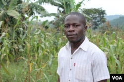 Edie Mukiibi, the new vice president of Slow Food International, at a school garden he helped create in Mukono, Uganda, July 22, 2014. (Hilary Heuler/VOA)