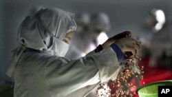 Pekerja perempuan di pabrik kismis Hajii Sher Mohamad dekat Kandahar, Afghanistan.