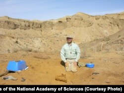 Professor Syus o'zbekistonlik, amerikalik, britaniyalik, kanadalik va rossiyalik olimlar bilan birga Qizilqumda 10 yil izlandi.