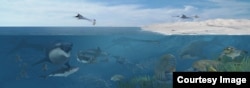 An artist’s rendering of Angola’s Cretaceous seas 72 million years ago, dominated by many species of large, carnivorous marine reptiles. (Karen Carr Studios, Inc.)