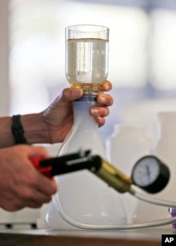 FILE - A researcher at Marinelab in Key Largo, Fla., filters out particles from a water sample to check for the presence of microfibers, or microscopic plastics, in the water, Feb. 7, 2017.