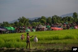 A newly arrived Rohingya Muslim boy, who crossing over from Myanmar into Bangladesh, walks with his belongings at Palong Khali, Bangladesh, Oct. 17, 2017.