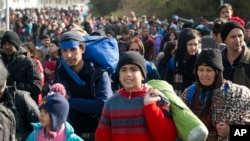 Migrants are seen walking towards Austria in Sentilj, Slovenia, Oct. 30, 2015. Asylum-seekers hoping to reach Western Europe turned to crossing Slovenia after Hungary closed its border with Croatia with a barbed-wire fence.