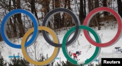 올림픽 로고.