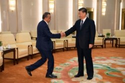 中国国家主席习近平在北京人大会堂会晤到访的世界卫生组织总干事谭德塞。（2020年1月28日）