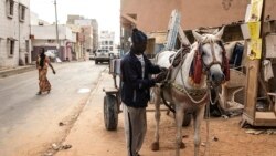 Un conducteur de charrette prépare son cheval avant une journée de travail à Dakar le 5 mai 2021.