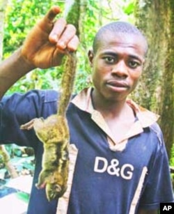 Boy holding bush meat (squirrel) in Bertoua in southeastern Cameroon